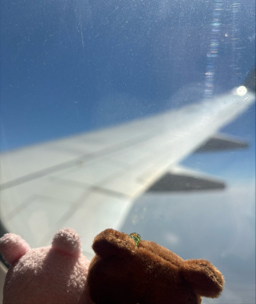 IMOMIch's tweet photo. ワクワク🛩🎶 https://t.co/N84PlJnfYU