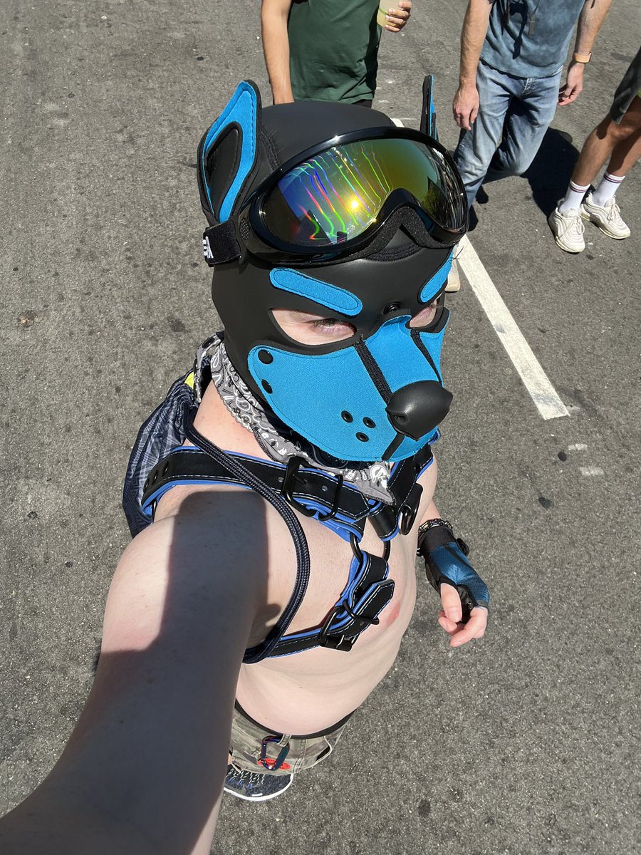 astonpupper's tweet photo. Got some sun I guess https://t.co/9ikNlurK9b
