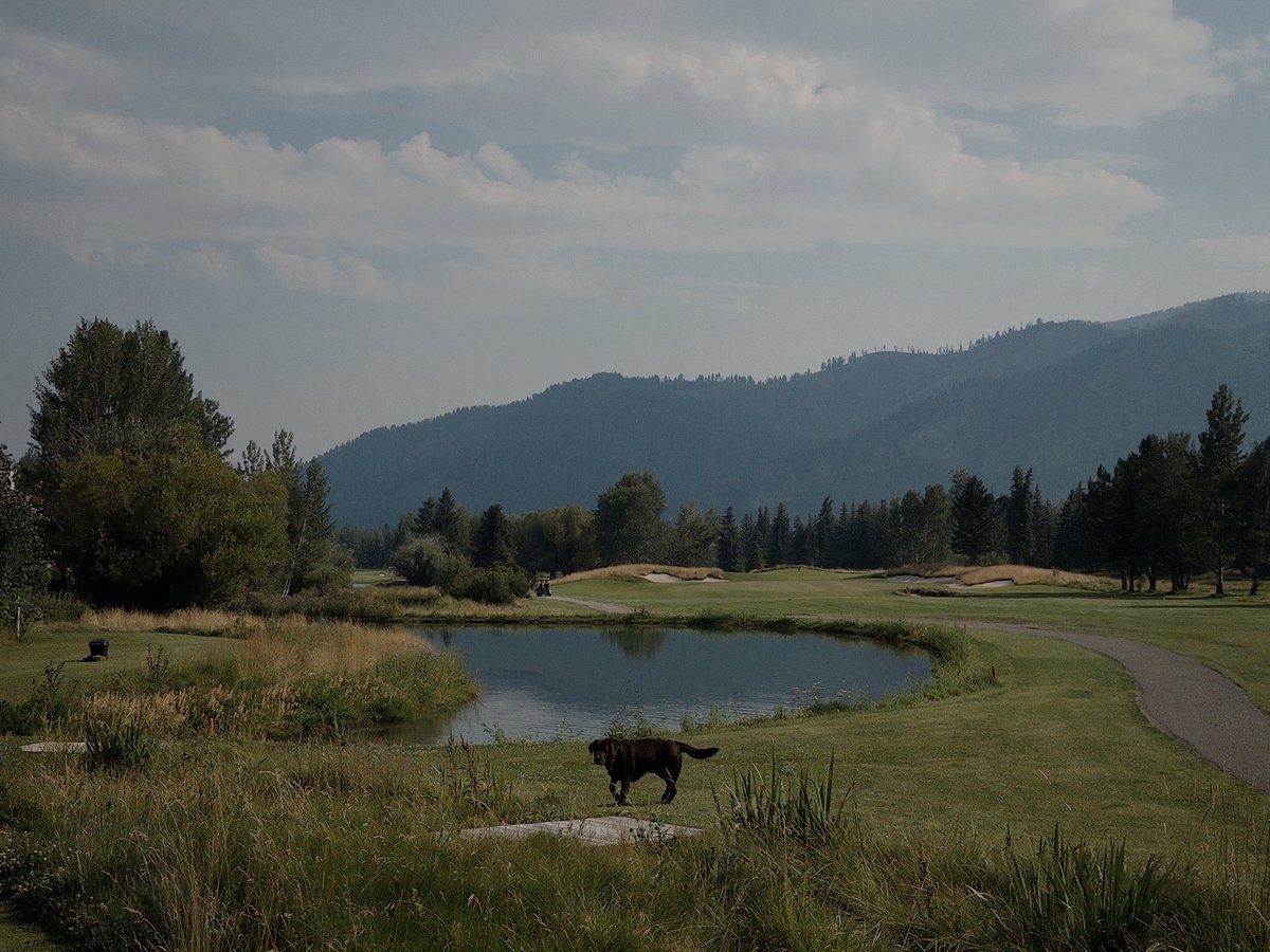 IsItGrey's tweet photo. Good times. I love it here so much https://t.co/wcyklsqME5