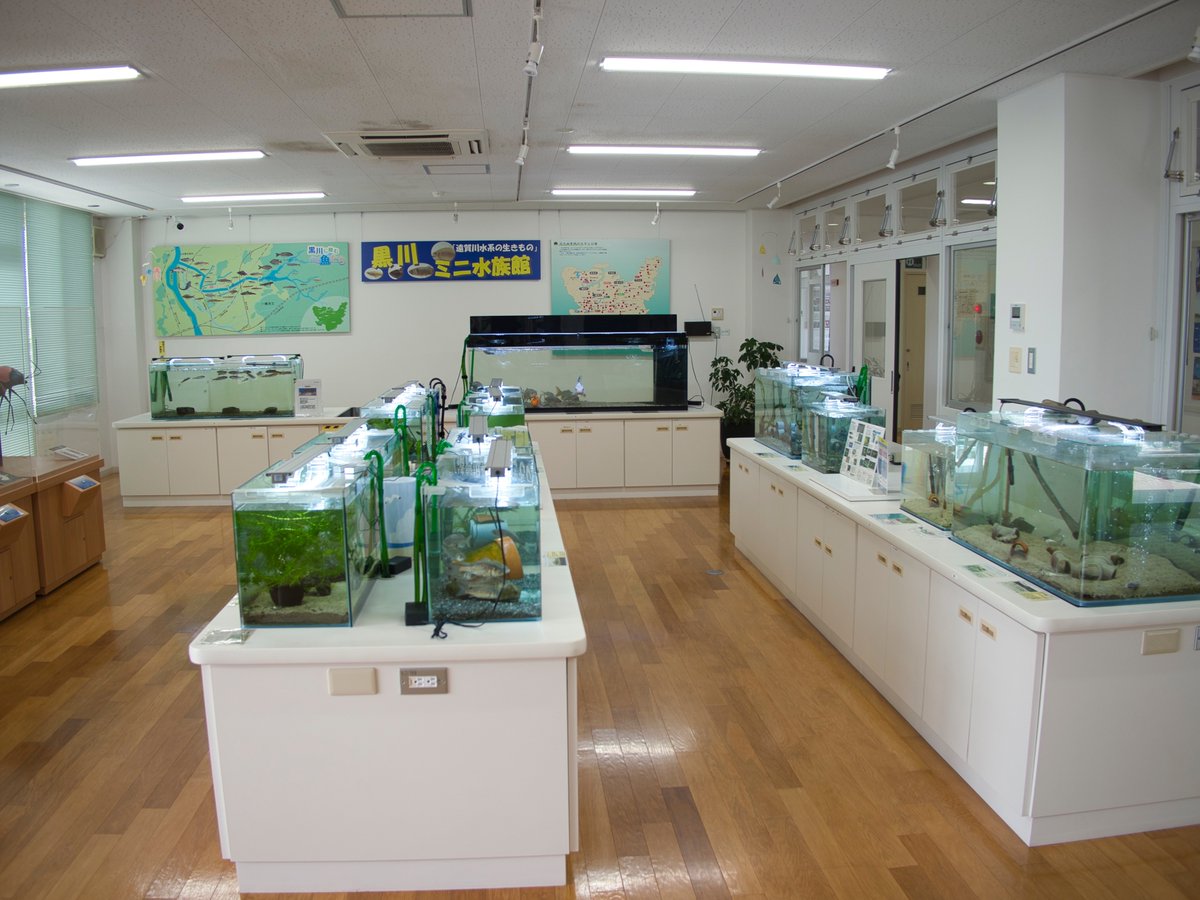 siancarp's tweet photo. 福岡県北九州市の「香月・黒川ほたる館」を訪問しました。
明るく清潔な館内には、黒川流域の生き物を展示する水槽がずらり。
フナやコイの大型水槽に加え、巨大なホタル模型や、顕微鏡でふ化したばかりのホタル幼虫も観察できました。 https://t.co/Q06rJ3NDex