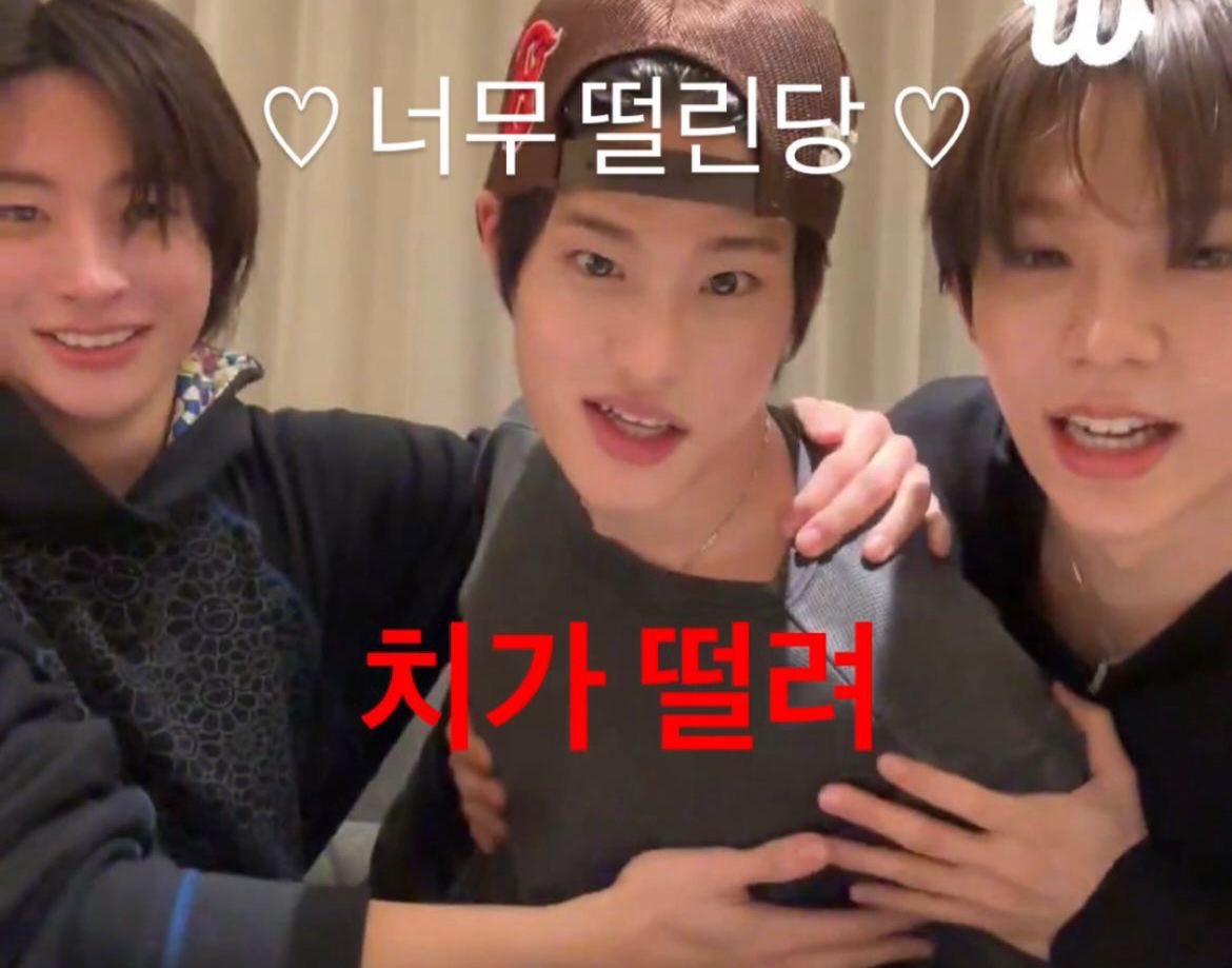 헬로삔 tweet media