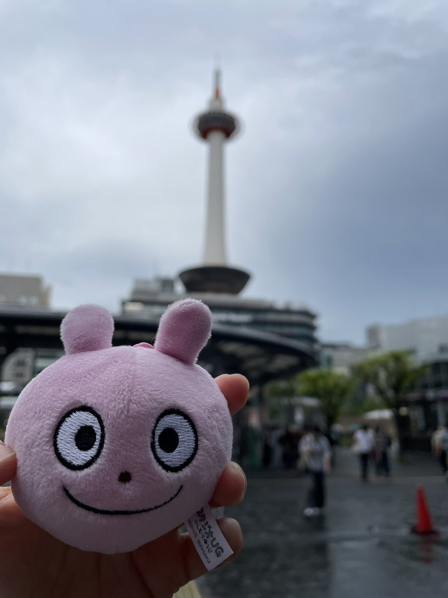 satty49967773's tweet photo. お久しぶりです、京都！おじゃましまーす😆 https://t.co/ztePgphR1x