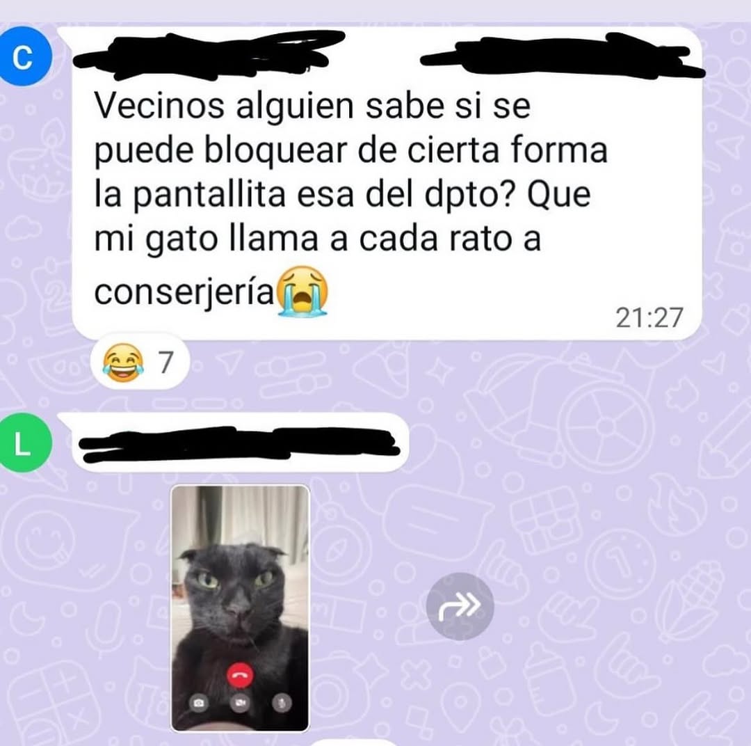 bjs_alejo2's tweet photo. https://t.co/TAGDVMDreB