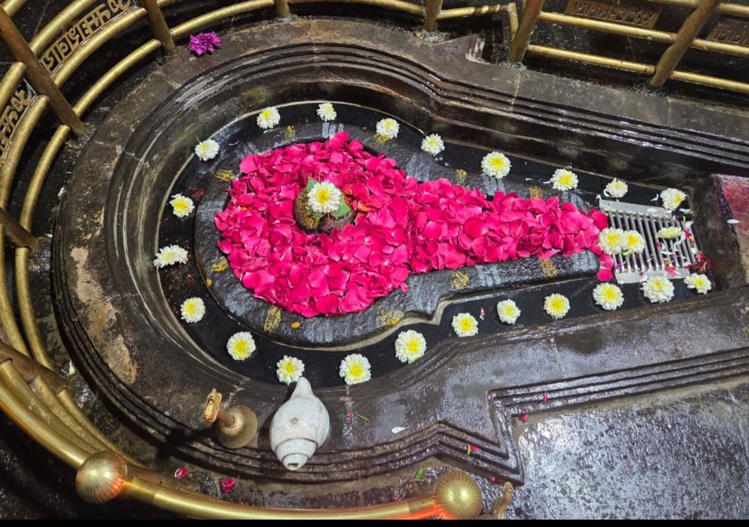 12Jyotirling's tweet photo. श्री भीमाशंकर ज्योतिर्लिंग मंगला आरती श्रृंगार | 27.07.2026

Shri Bhimashankar Jyotirlinga Mangala Aarti Shringar | 27.07.2026 https://t.co/DaKJpWbbCI