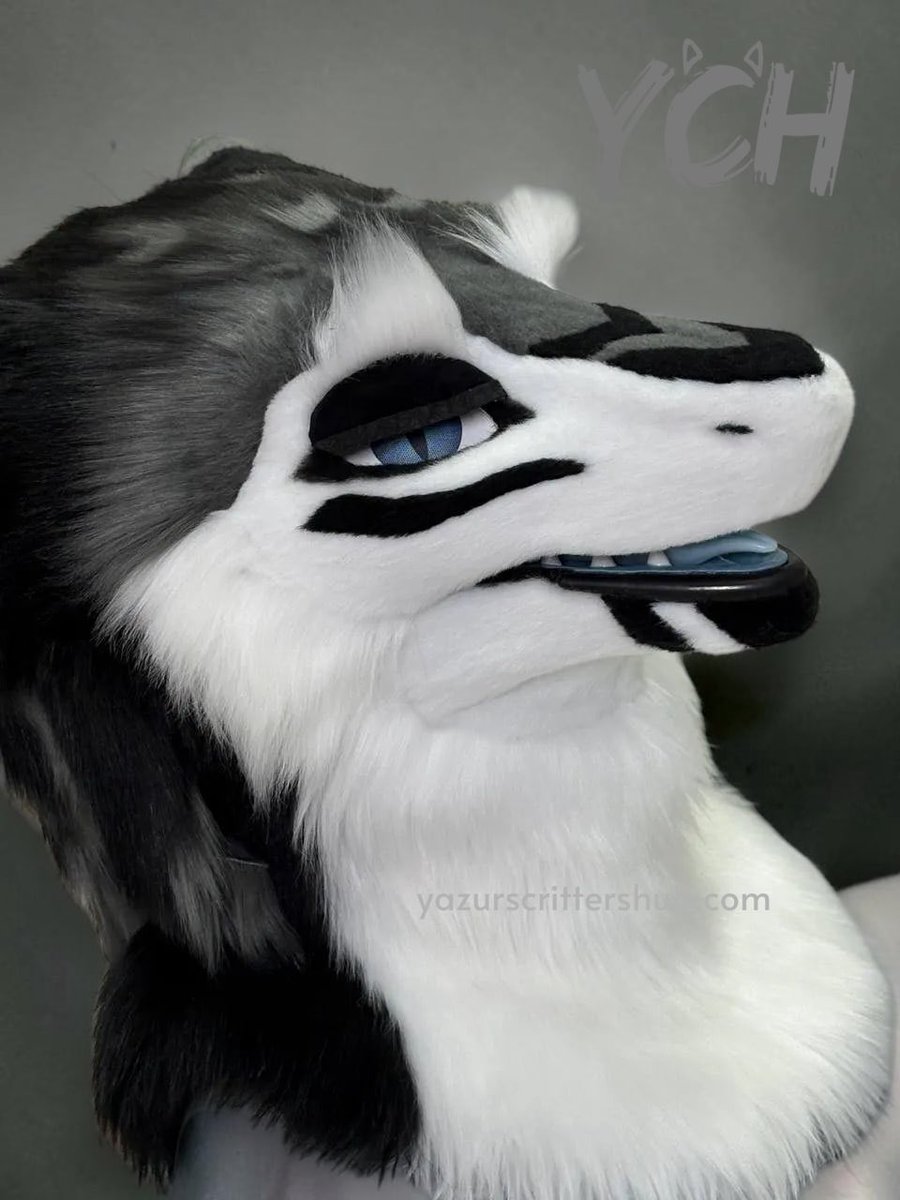 yazurscritters's tweet photo. ✨ A new sergal has appeared ✨

Commission for @Spacewarrior453 

#fursuitmaker #furrycommunity https://t.co/M6LbShKN24