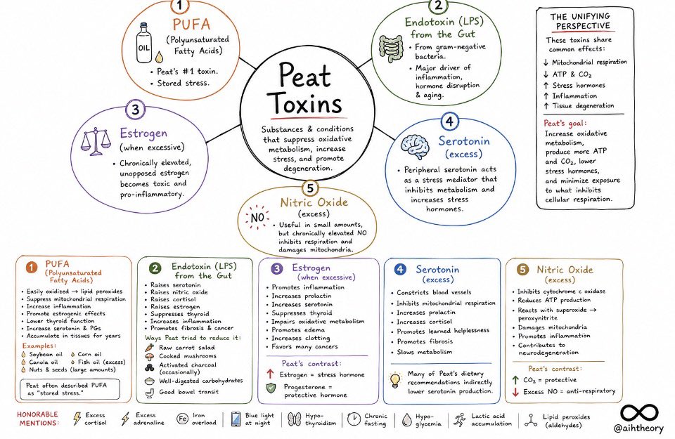 aihtheory's tweet photo. Understanding #RayPeat 
Reducing #Toxins 
Helping #Metabolism https://t.co/RrOGWrQlcC
