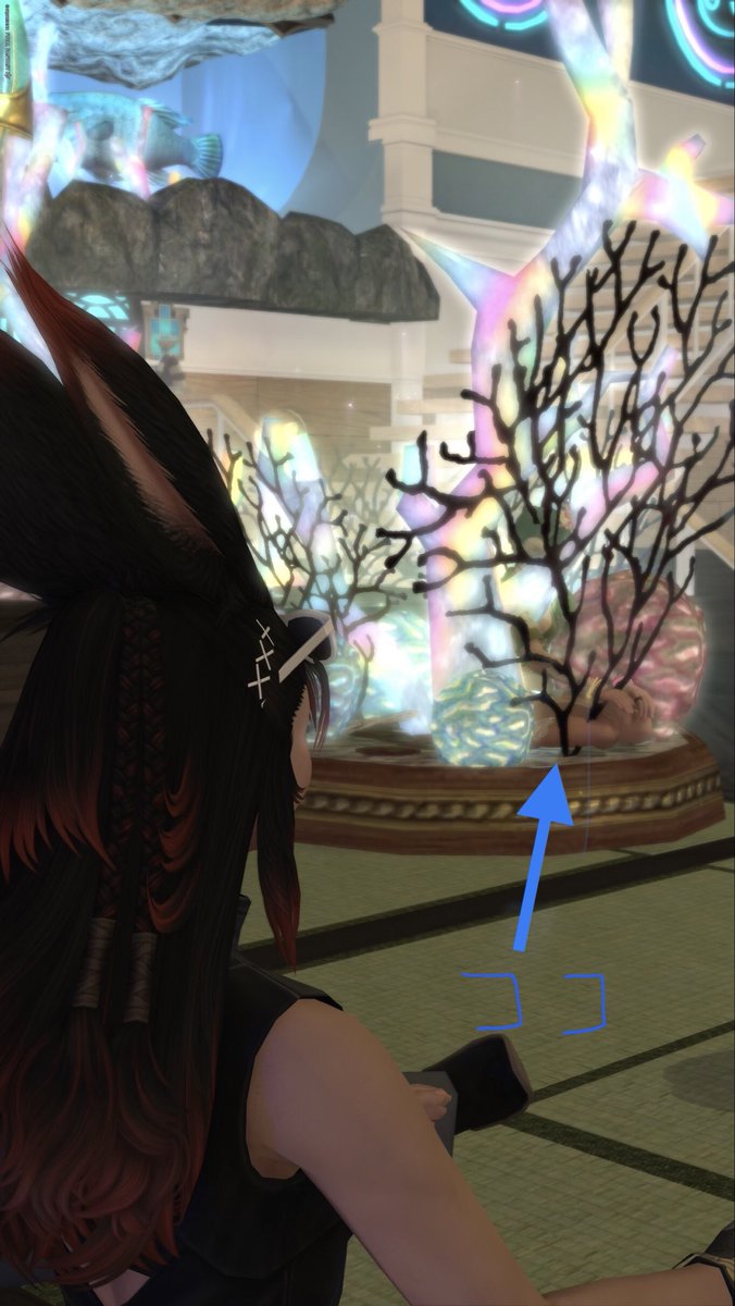 Junbo_FFXIV's tweet photo. https://t.co/EWysyc5gos