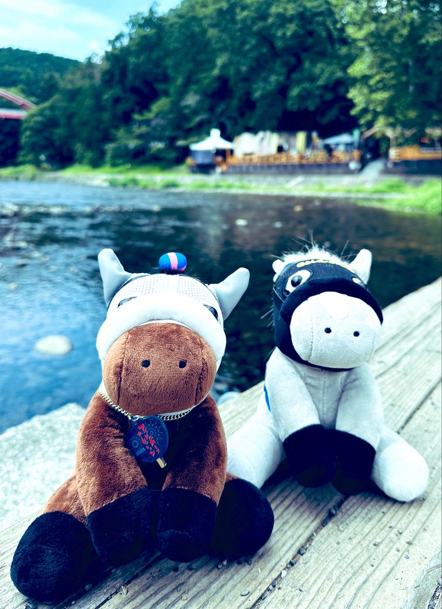 kiki🐴 tweet media