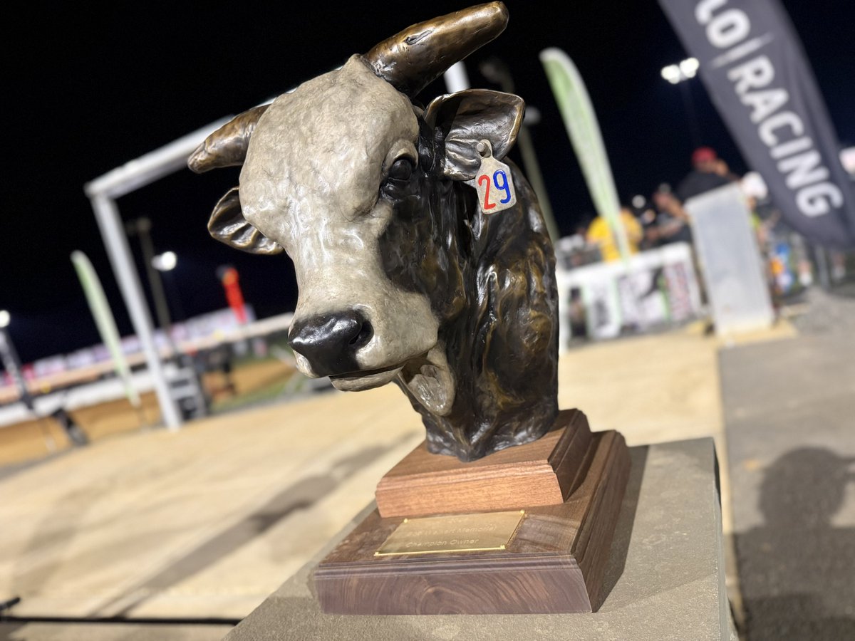 HighLimitRacing's tweet photo. Drop your picks. Who’s winning $100k and the bull? 🤔 https://t.co/3mfvnQcbAH