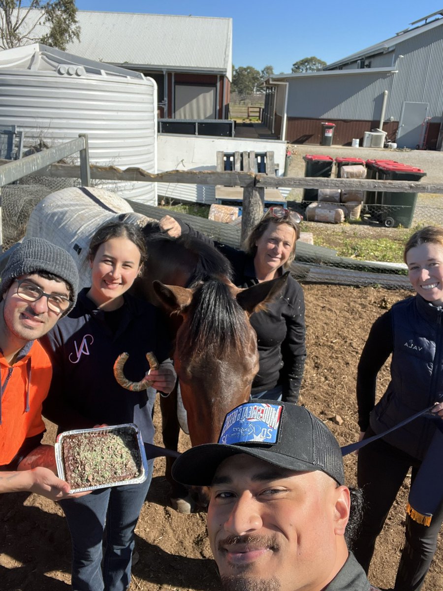 lainie_york's tweet photo. When we win we have cake 🎂 this time it was #choclate 🤎🤎🤎🤎🤎🩵💛 https://t.co/WpQK2xZ7iu