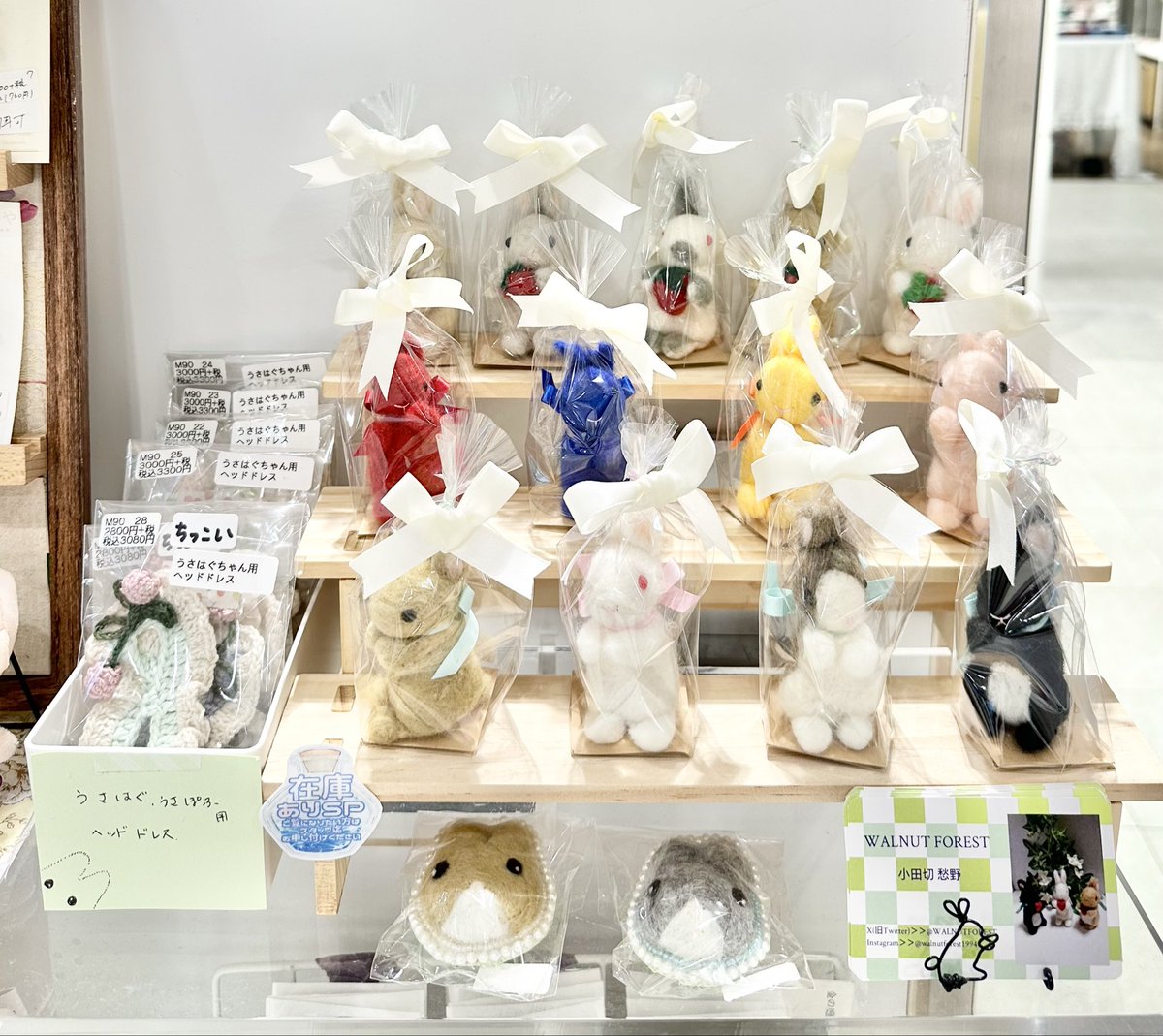 ご紹介ありがとうございます。 本日もWeb販売12:00～19:00で対応して