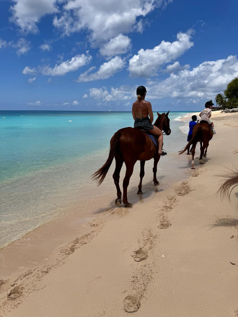 totallybarbados's tweet photo. Experience Brighton Beach with Sandy Turf Stables https://t.co/Ur3bPTFHUk. Ride along the shoreline, then swim with your horse in the ocean. Learn more on Totally Barbados.
#TotallyBarbados #SandyTurfStables #BarbadosExperiences https://t.co/KryrUQ1JHF