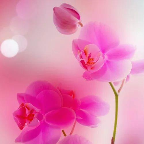 ElsieGunth70150's tweet photo. 🎈 🌐 🎌 Debated heisenberg uncertainty blur—quantum quirk. https://t.co/ZUQwV6PofA