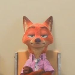 BasicFoxFurry's tweet photo. I love this annoyed Fox https://t.co/wqrV8rb4Tf