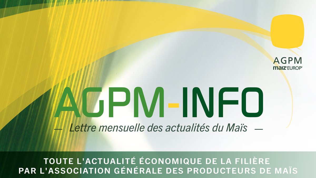 AGPM_mais's tweet photo. 📈 🌽 Notre lettre mensuelle AGPM Info Economie – Juillet-Août 2026 vient de sortir : retrouvez les actus' de la filière !

🗓️ EDITO – Loi d’urgence agricole : la victoire du bon sens sur les caricatures grossières
La loi d’urgence agricole est adoptée. Mais au-delà du résultat, une question demeure : comment en est-on arrivé à rendre aussi impossible un débat pourtant essentiel à notre avenir collectif ? Pendant des semaines une partie des échanges a confiné à la caricature grossière et insultante. Défendre l’irrigation, c’était vouloir assécher la France. Défendre des solutions phytosanitaires, c’était empoisonner nos enfants. Cette vision manichéenne est une impasse. L’agriculture mérite mieux que les slogans, les procès d’intention et l’idéologie permanente. La France devra pourtant continuer à parler d’eau, de protection des cultures et de compétitivité. Mais elle ne pourra le faire sereinement qu’en remettant la science, les faits et la raison au coeur du débat. Car nourrir un pays exige un peu plus de lucidité que de posture.

🌽 Au sommaire de ce numéro : un article sur les marchés du #maïs ainsi qu’un article consacré à la "loi d'urgence agricole".

👉 Le chiffre du mois : 510, c’est le nombre de parlementaires ayant voté en faveur de la loi VS 335 ayant voté contre

➡️ A télécharger : https://t.co/mGhSFt4vCo

#Filièremaïs #marchés #agriculture