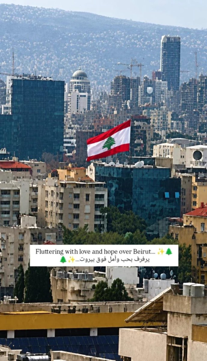 alaa_arakji's tweet photo. يرفرف بحب وأمل فوق بيروت 🇱🇧❤️ https://t.co/xdFplmqqCm