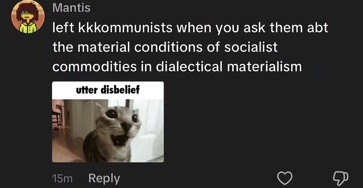 CommieTurk tweet media
