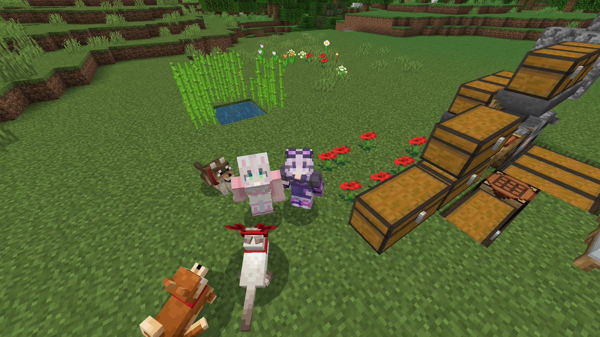 chamnk18's tweet photo. お昼のマイクラ配信ありがとうございました🍀*゜

つむちゃと初めて遊んでﾄﾞｷﾄﾞｷしたけど
楽しすぎたので緊張どっか吹っ飛んだ🫶
遊んでくれてありがとねん🥳

夜は18時~20時まで毎日エイム配信します🙋‍♀️ https://t.co/W1ZjyQC03J
