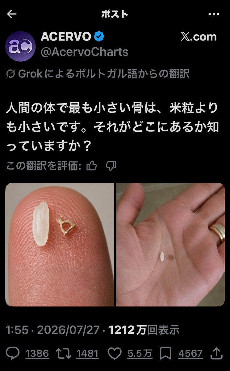 tanktopbot's tweet photo. 俺の身体にはもう無いよ。 https://t.co/CQfb8VnxEI