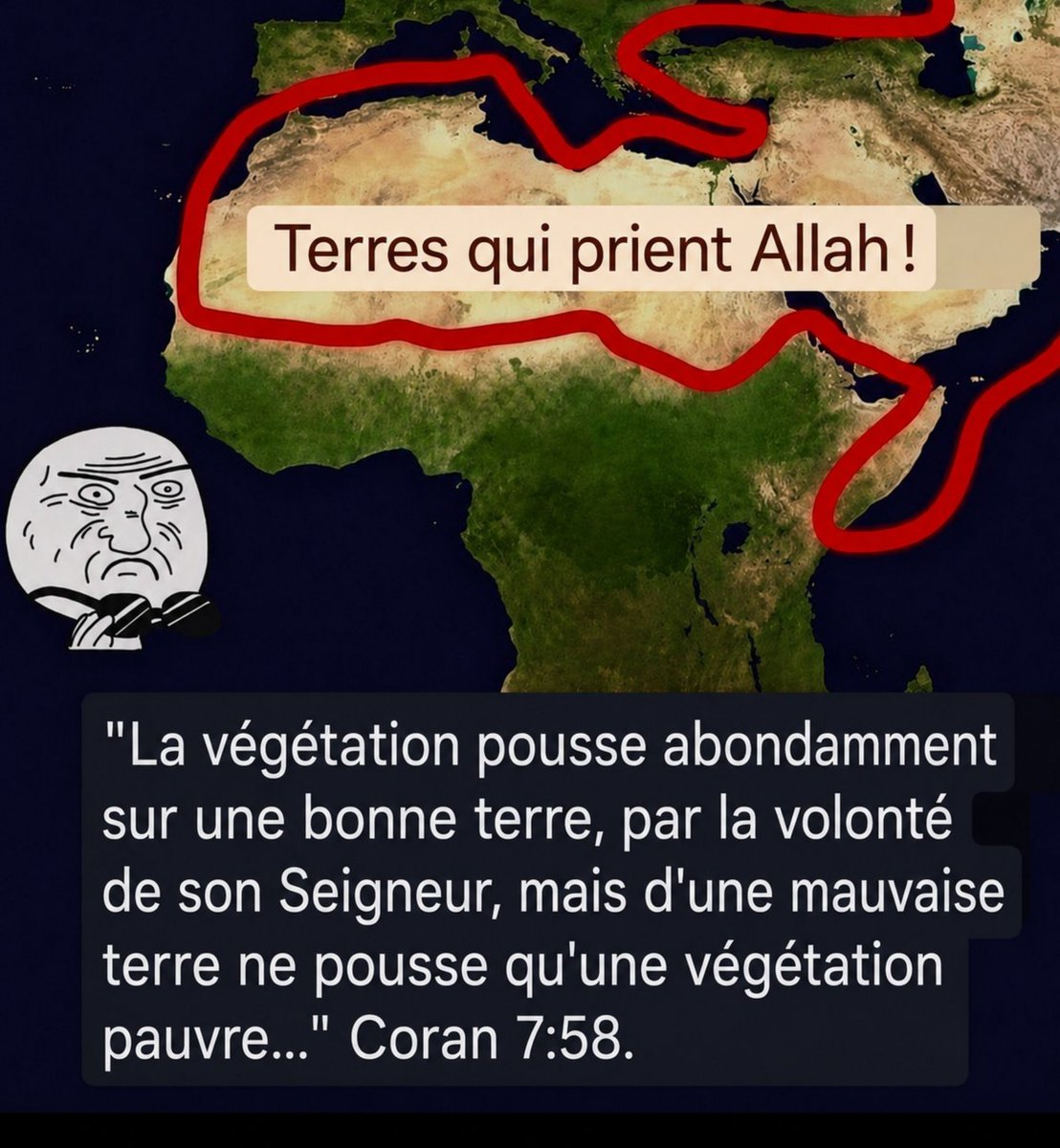 Le Veilleur ♱🇻🇦 tweet media