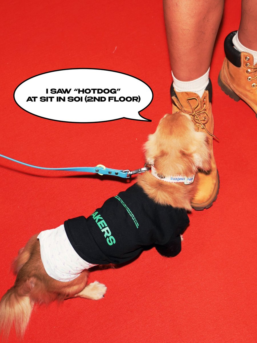 matter_makers's tweet photo. HAVE YOU SEEN “HOTDOG”? MATTER MAKERS POP-UP STORE IN SONGWAT
📅 July 23 – August 5, 2026
📍 Sit In Soi, Song Wat
🕙 Mon–Thu: 10:00 AM – 7:00 PM
🕙 Fri–Sun: 10:00 AM – 10:00 PM

#HaveYouSeenHOTDOG
#HOTDOG_TheDachshund
#MatterMakers https://t.co/MEIHxAWk3O
