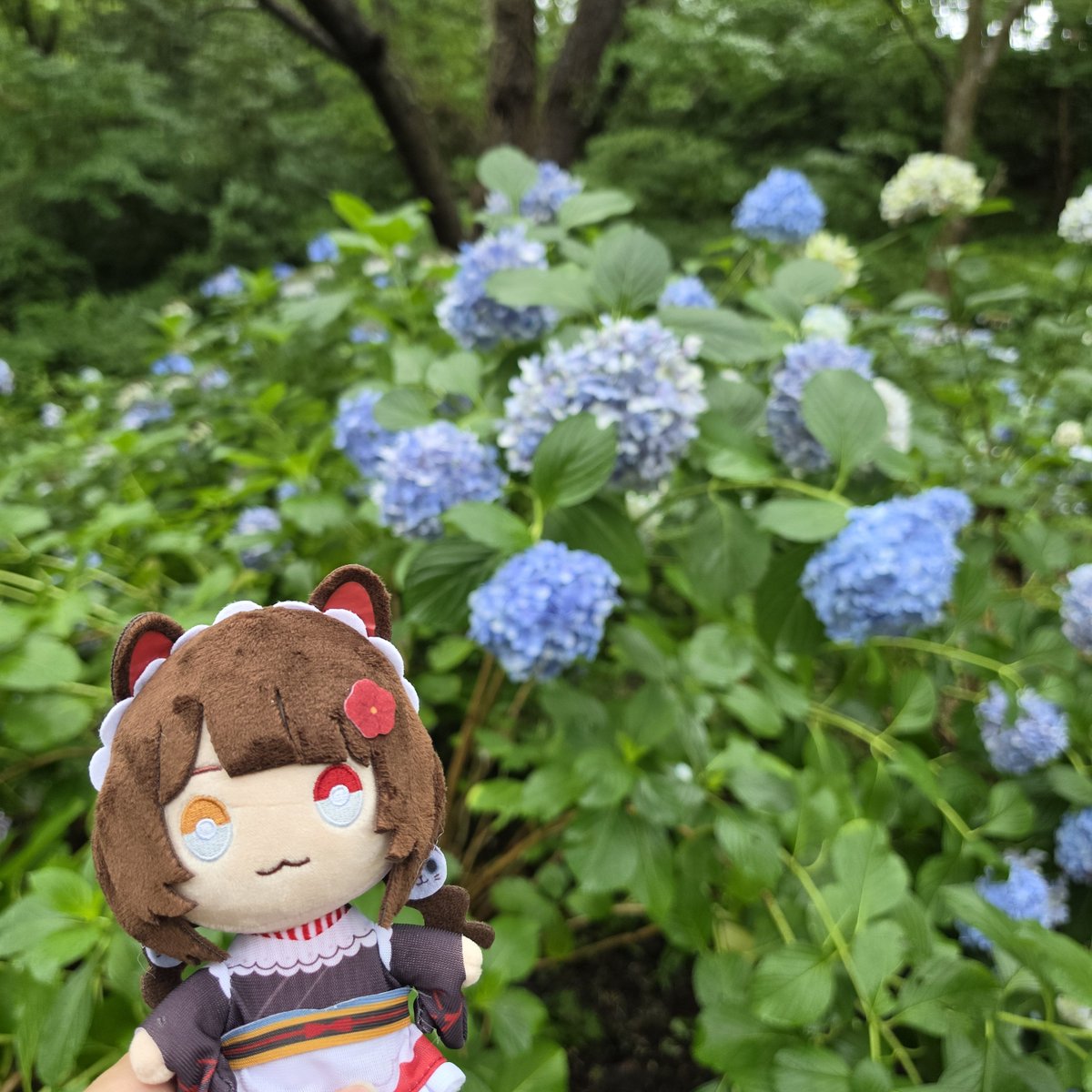 TAIGA_GTCC's tweet photo. 佐渡金山と浮遊選鉱場に来たよ〜 https://t.co/h3mcKkJqB1