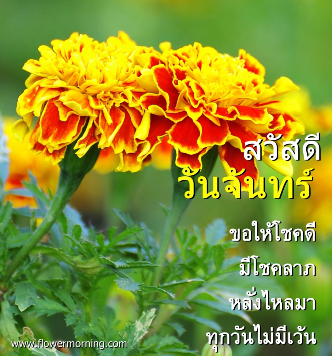 enzard_alt's tweet photo. https://t.co/P6NUHhK8be