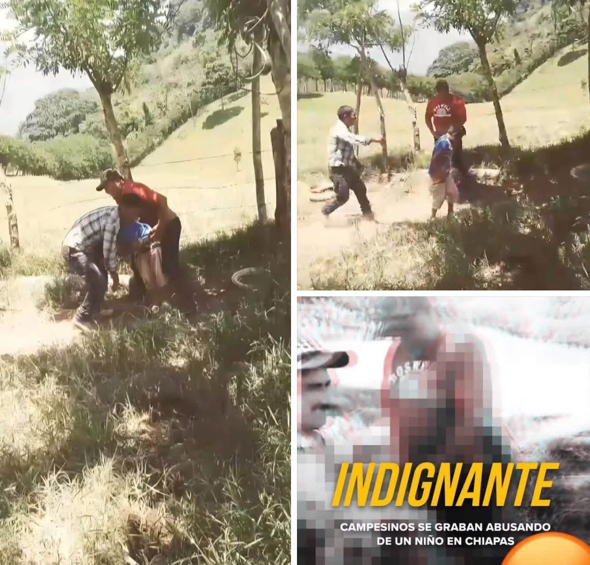 112ciAtt's tweet photo. Sabanilla Chiapas Video: leaked viral footage of the peasants on Telegram and Twitter...

Sabanilla Chiapas Video 1st comment ... https://t.co/o2VweQvmIL
