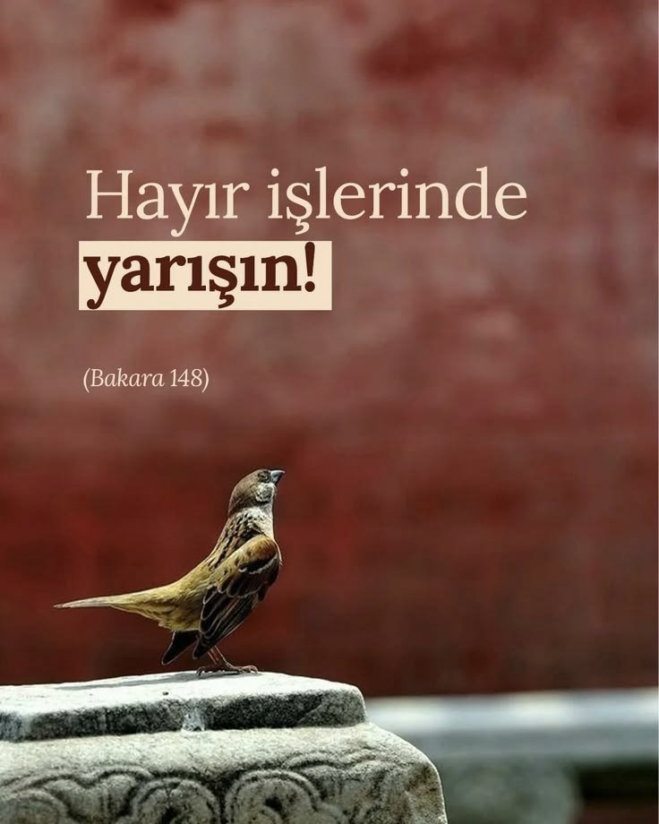 manevipusula's tweet photo. https://t.co/oU8U5J25mq