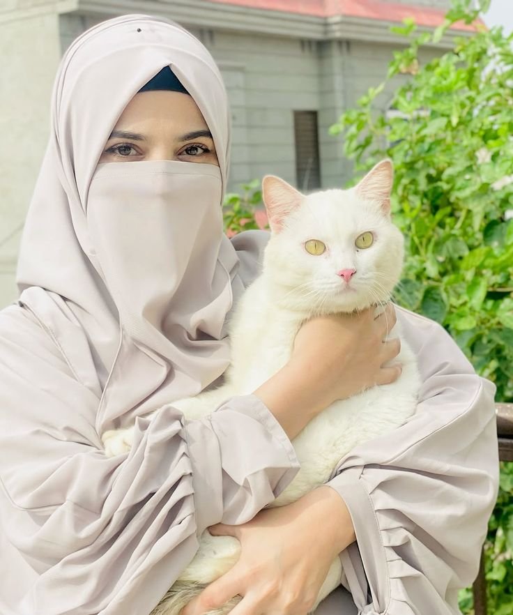 umme_habiba2807's tweet photo. Assalamualaikum 🌷 

 Cat lovers ❣️ 

#Good_Morning https://t.co/klf9QjaLeI