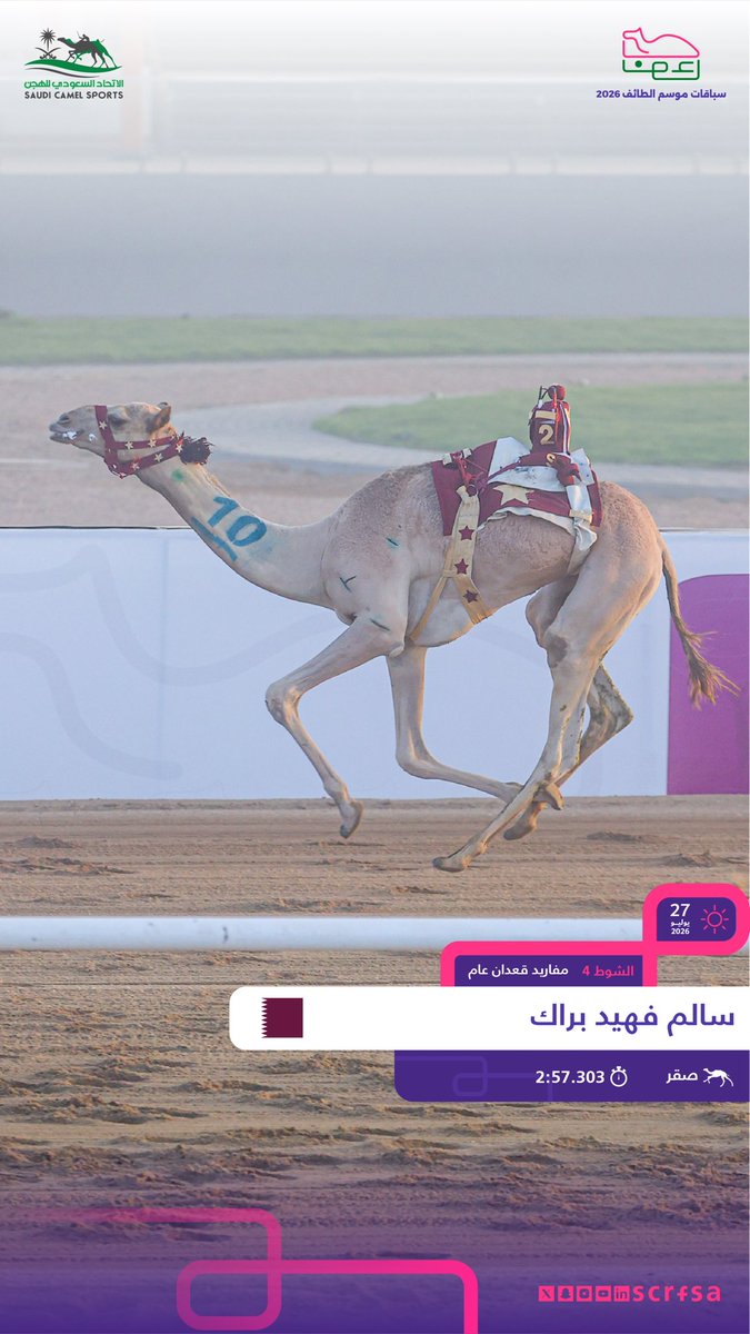 الاتحاد السعودي للهجن tweet media