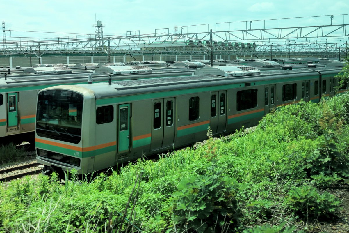 クハ鉄 tweet media