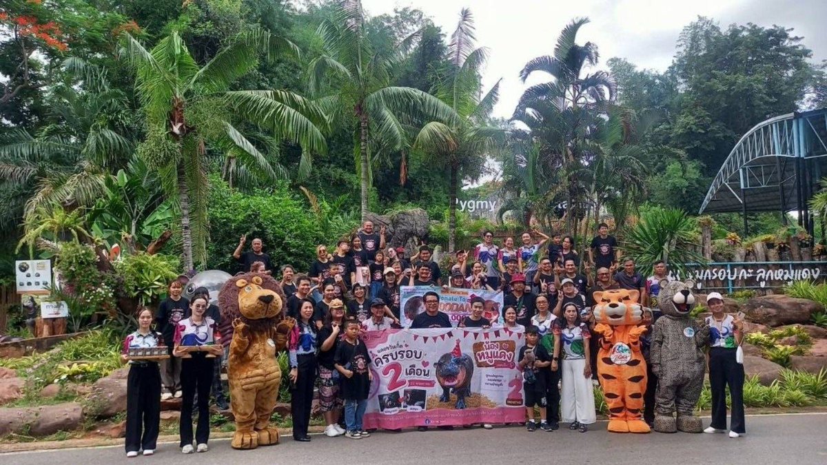 BenzArnon9's tweet photo. ถ้า​ $Moodang สามารถไปถึง​ 1M​ mcap​ ได้
จะมีกิจกรรมดีๆโดเนทแบบนี้ขึ้นอีกแน่นอน​ คิดถึงเจ้าตัวจิ๋ว​ Moodang​ ขึ้นมาแล้วสิ​ มาดูกันเหล่าแฟนคลับ​จะทำได้ไหม​ อย่าลืม
$MOODANG
8HyG5qPSp1M5Ez8KvL67NktTyCtHvr6Xn87b2UHNpump

#Moodang #หมูแดง​ #Koratzoo​ #PygmyHippo #หมูเด้ง​ #Moodeng #หลานหมูเด้ง