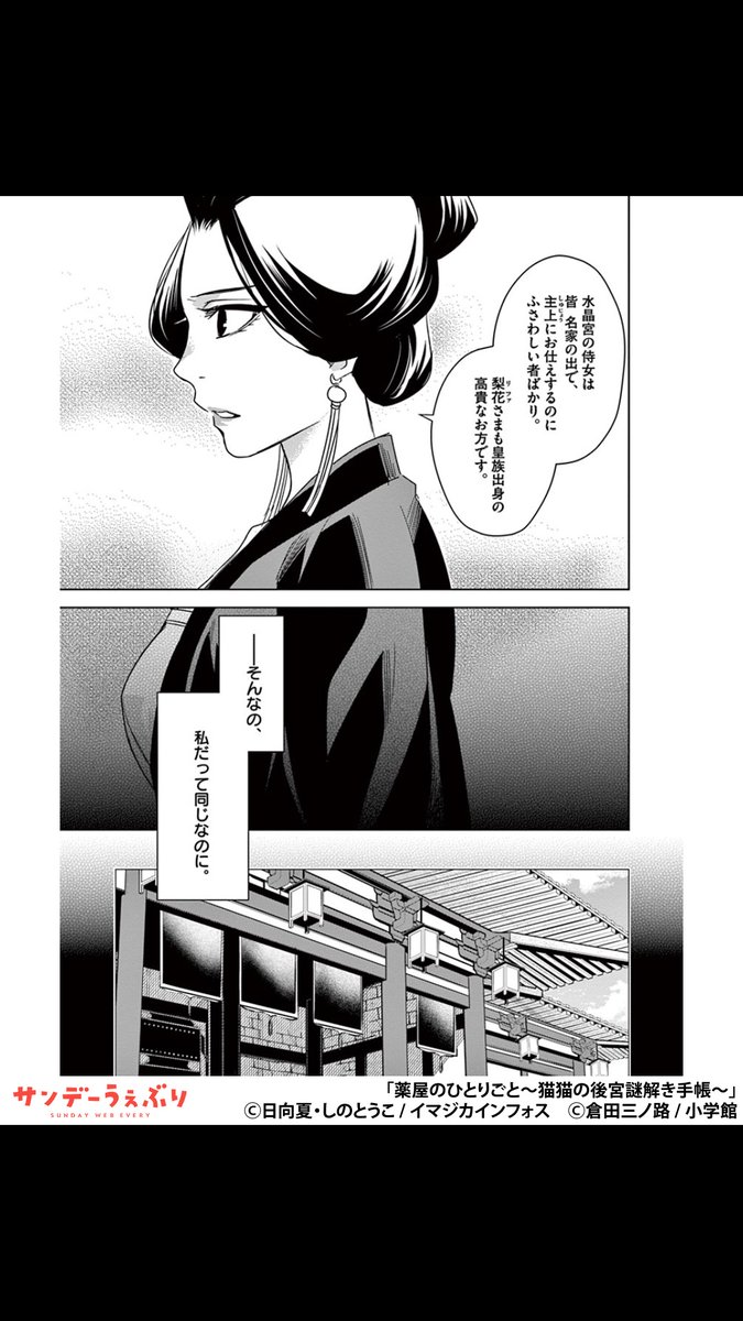 うぇぶりん＠サンデーうぇぶり おすすめ漫画紹介 tweet media