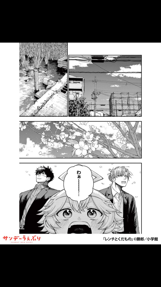 うぇぶりん＠サンデーうぇぶり おすすめ漫画紹介 tweet media