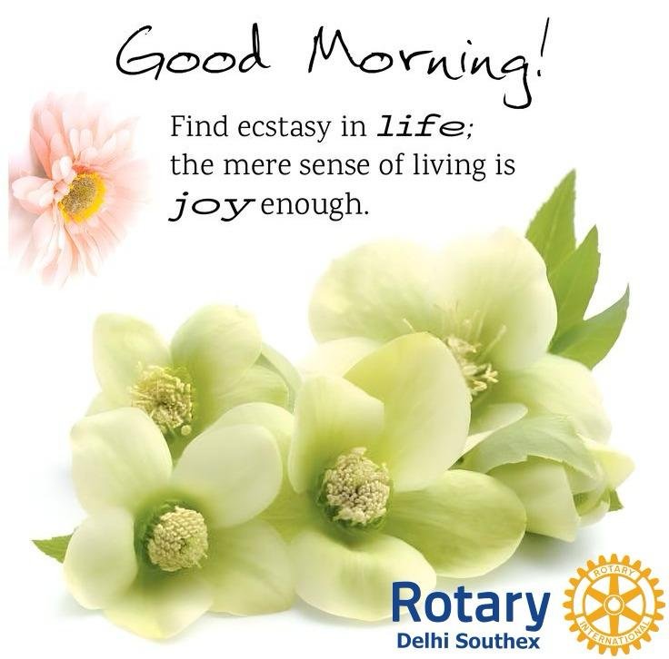 madhuukar_k's tweet photo. #CreateLastingImpact
#UniteForGood
#TheMagicOfRotary
#CreateHopeInTheWorld
#ImagineRotary
#ServeToChangeLives

#ServiceAboveSelf

@PMOIndia

@Rotary @RIDistrict3011 @JenJonesRotary @gordonmcinally @Shekhar_Rotary @NewsRotary @JohnHewko  @AshokMahajan2 @anupmittal2021 @jguptallb https://t.co/As1bTgkEID