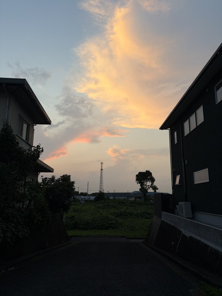 _siiday_ tweet picture