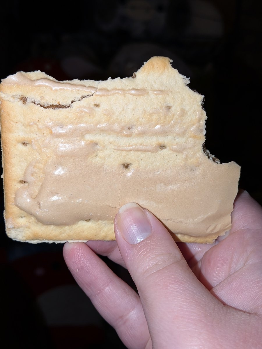 that_catlady97's tweet photo. @PopTartsUS what is this. Where is the frosting? This is an abomination. https://t.co/X4xK25BM0D