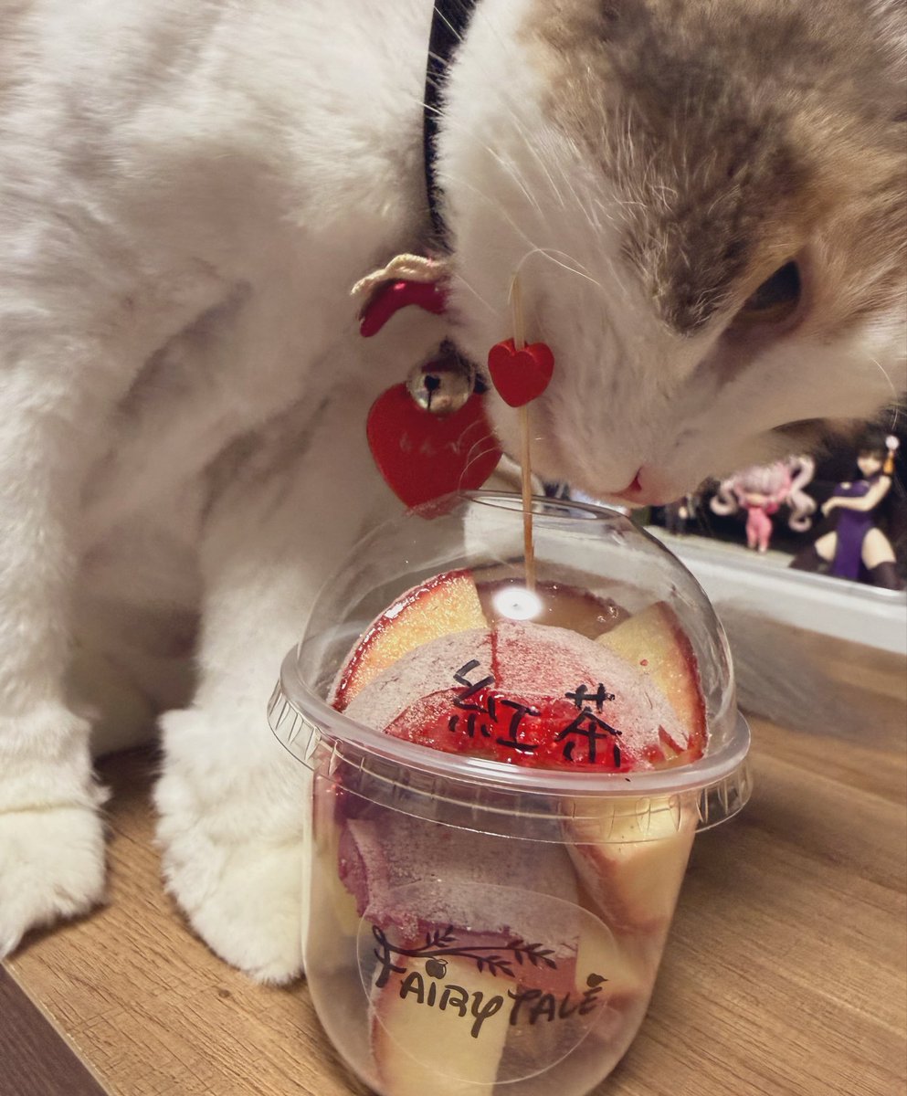 pinyako0630's tweet photo. りんご飴と猫ちゃん https://t.co/nM80jQgxvF