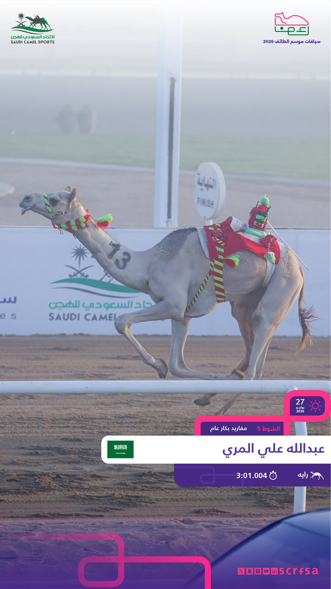 الاتحاد السعودي للهجن tweet media