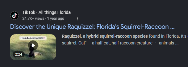 YokaelDev's tweet photo. there is a name for squirrel/ raccoon breed.    its literally a giga meme  its called a raquizzel

https://t.co/vCY6t2wfzx https://t.co/tL2GfDjFLi