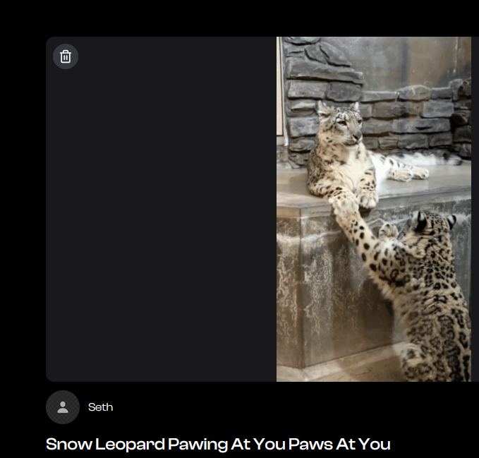 Astral_Object's tweet photo. wow a gif i uploaded getting a buncha likes also heres what you can search to find it on discord https://t.co/86p1gOD0AA