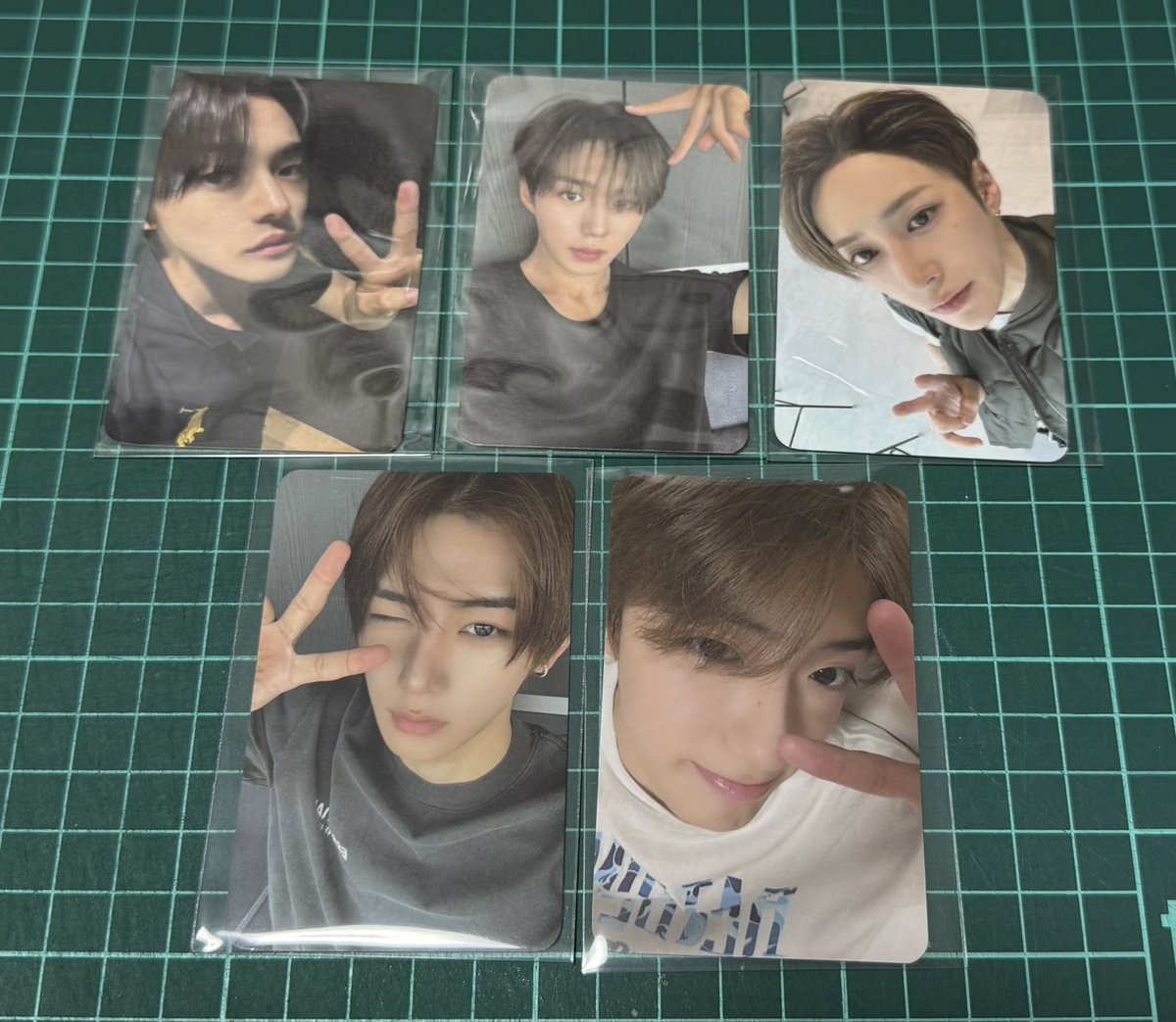 longrong_11's tweet photo. シンロンの🐱の方求めてます🙌
どなたか交換できる方いませんか🥺？ https://t.co/NSvnqgxIFn