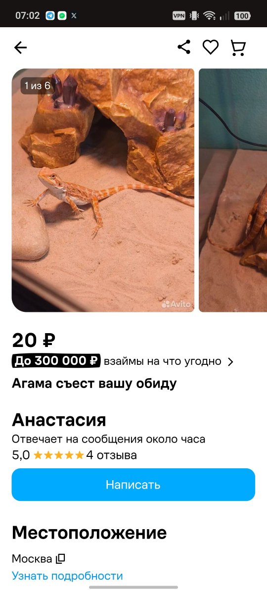 Lanikoro's tweet photo. Рекомендации авито как отдельный вид искусства:

(Это шикарно) https://t.co/RemKhkYkwW