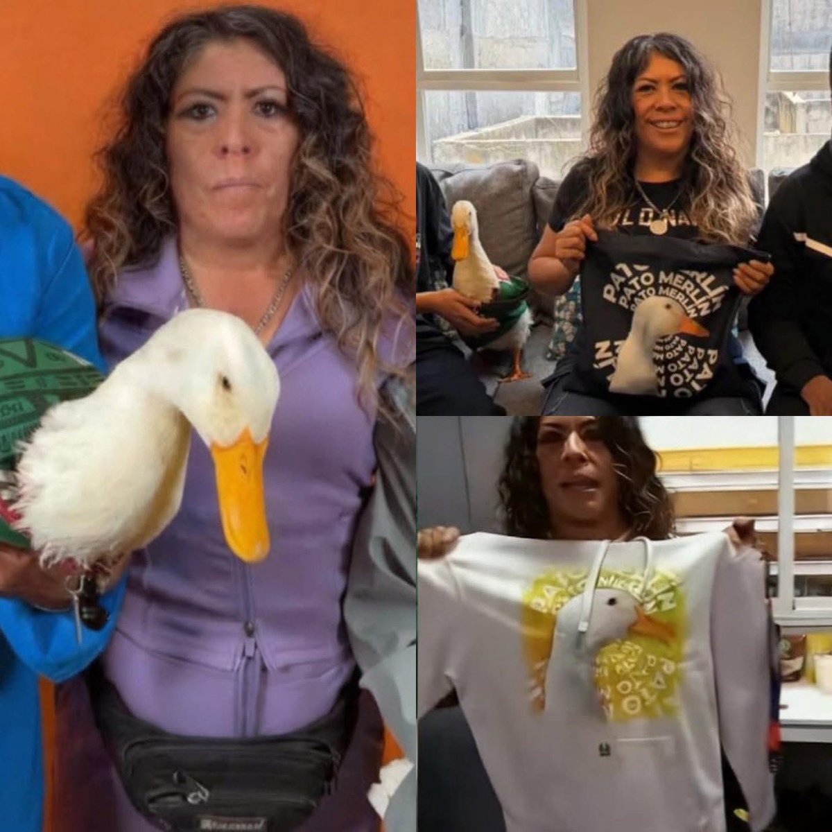 El Jefa𝕏o tweet media