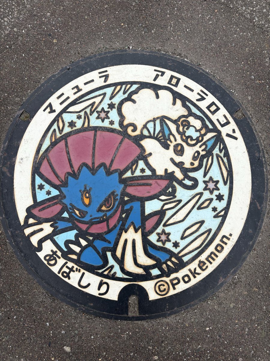 crow0291's tweet photo. 今年行ったマンホール② https://t.co/iuZoGU6Jhi