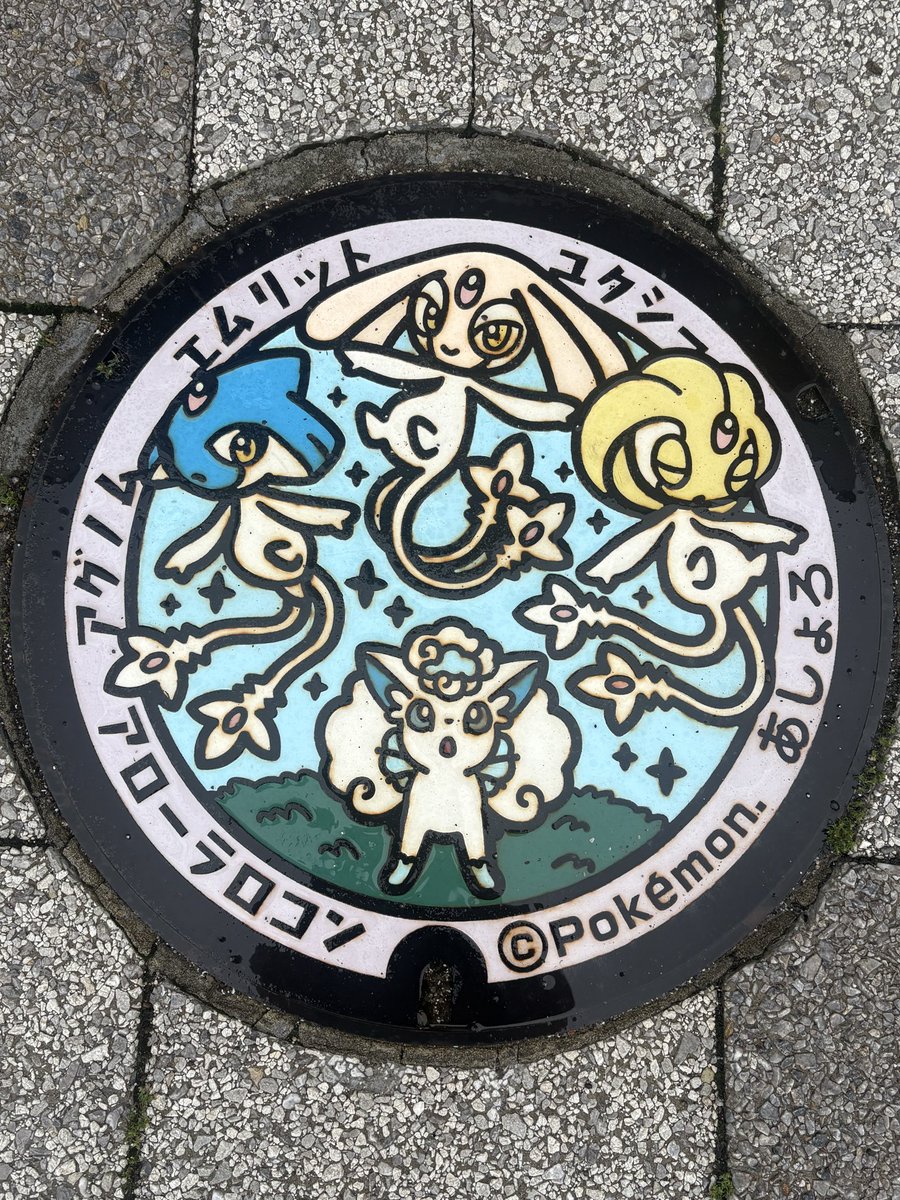 crow0291's tweet photo. 今年行ったマンホール② https://t.co/iuZoGU6Jhi