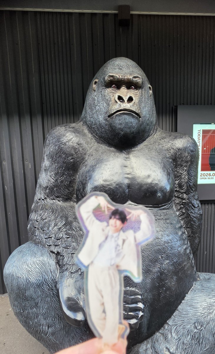 ren2corn8poodle's tweet photo. 昨日、他界隈でゴリラホール🦍って場所でLIVEを見ていまして、大翔くんにも来て欲しいなと思うなどしておりました🙇🏻‍♀️
ホールの外も中もゴリラ🦍がいっぱいでした https://t.co/2kFWooF4Rd
