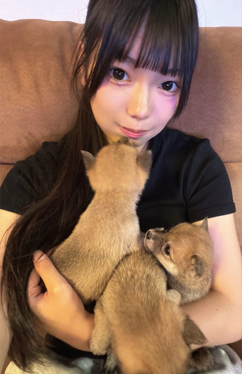 toono_sora's tweet photo. わんちゃん楽園🐶🐾 https://t.co/Y3GsteCykp