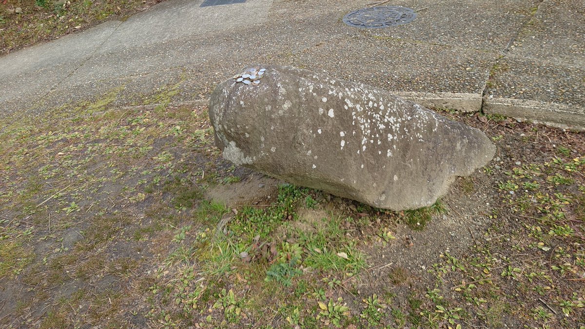 goshuinchou's tweet photo. 世界文化遺産に登録された飛鳥・藤原の宮都の構成要素からは外れていますが、明日香村には謎の石造物が沢山あるのでそのなかのひとつマラ石を宜しくお願いします。 https://t.co/5I9ELNBrq2